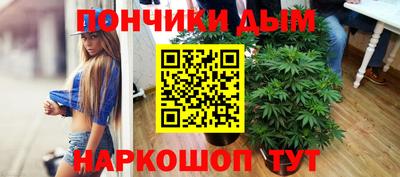 сатива Моздок
