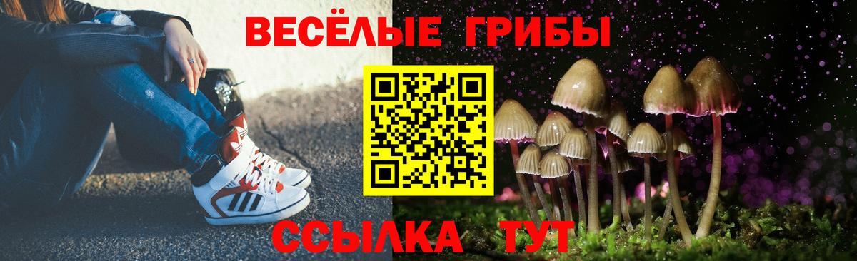Химки  Псилоцибиновые грибы мухоморы  Вход с VPN  Галлюциногенные грибы мухоморы 